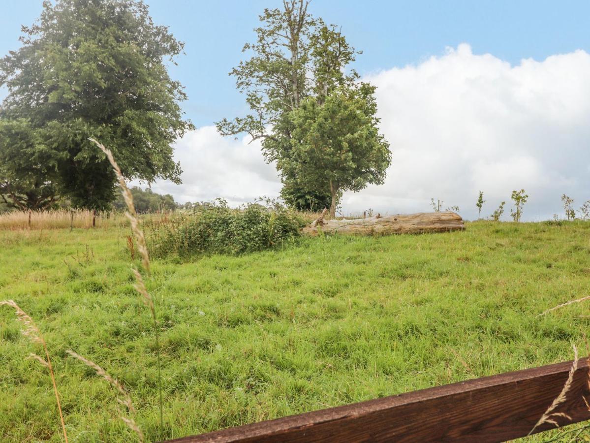 Meadow View Villa Nenagh Ngoại thất bức ảnh